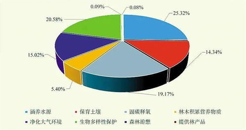 網絡技術服務 數字化轉型的引擎